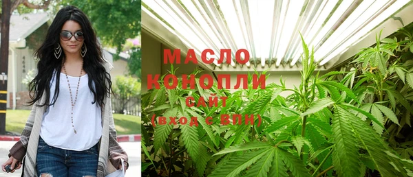 тгк Абаза