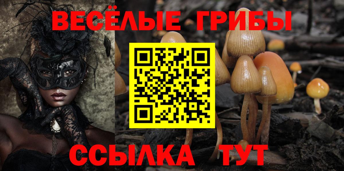 Псилоцибиновые грибы мицелий  Псилоцибиновые грибы Psilocybe  Вход с VPN  Киржач 